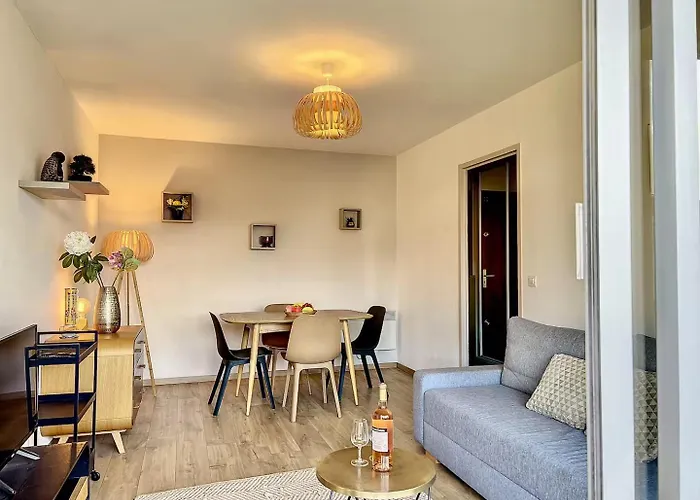 T2 Cosy Avec Terrasse Sud - Centre Apartment