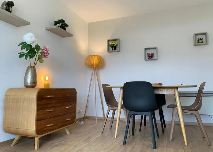 T2 Cosy Avec Terrasse Sud - Centre